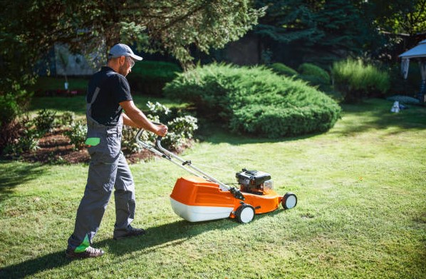 Goedkoop een tuin aanleggen