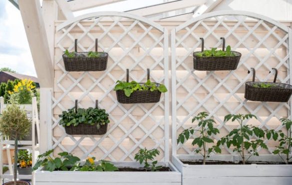 Verticale moestuin